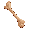 Bone Fragment